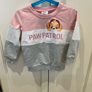 Paw Patrol Skye Colorblock Sweatshirt - Pink, White, and Gray 3-4t